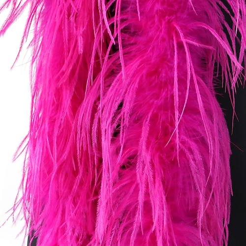 Straußenfedern, Hüte, Kleidung, dekorative Materialien, Accessoires, Kleider, Schals, Accessoires, Straußenfedern, Haarstreifen Image