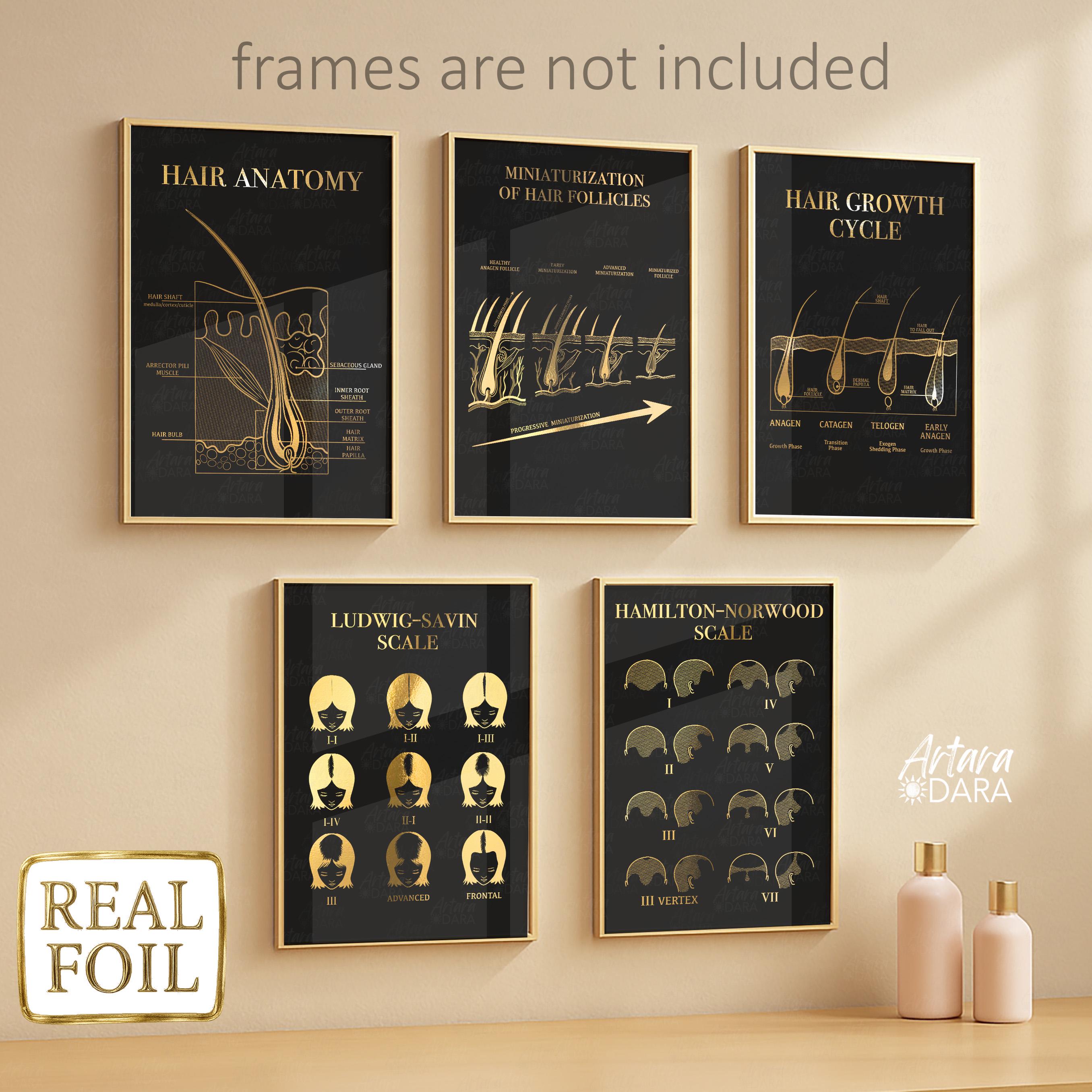 Stampe artistiche sull'anatomia dei capelli in lamina d'oro - Decorazione clinica tricologica, set da 5