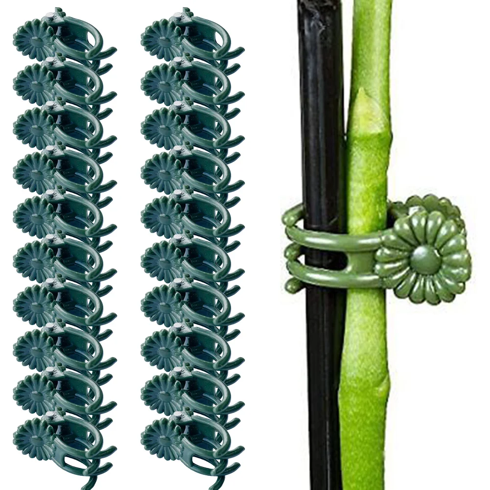 20/40/100 stücke Garten Anlage Clips Kunststoff Unterstützung Orchidee Stem Clip Anlage Unterstützung Stem Klemmen Obst Gemüse Stem Reben gebunden Stakes Image