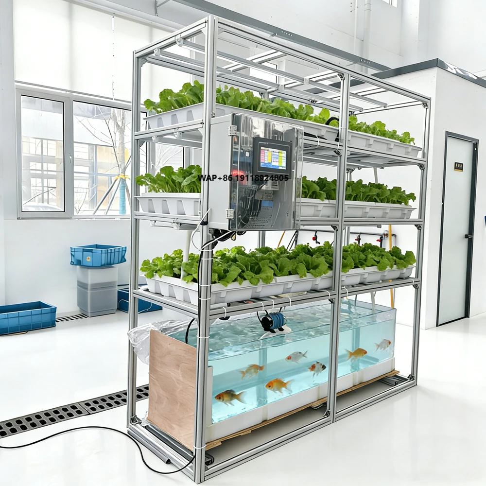 Hydroponik-Set: Automatisches Hydroponik-System mit Wasserpumpe für Fischbecken und Gemüseanbau Image