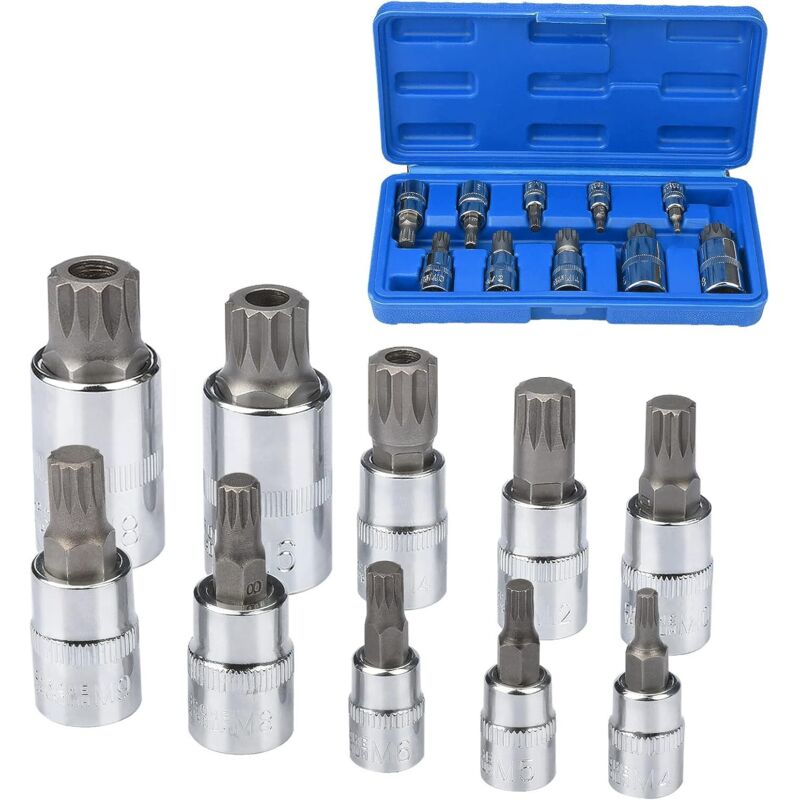 Set Di Bussole Da 10 Pezzi, Set Multi-bussola M4 / M5 / M6 / M8 / M9 / M10 / M12 / M14 / M16 / M18, Bussola Torx Maschio