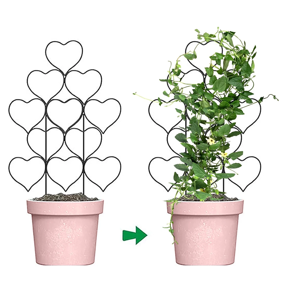 Pflanzenunterstützung, Gartengeräte, Balkonzubehör, Pflanzen, Bonsai-Werkzeug für Setzlinge, Utensilien, Spalier, Zubehör, Wachstum, Klettern Image