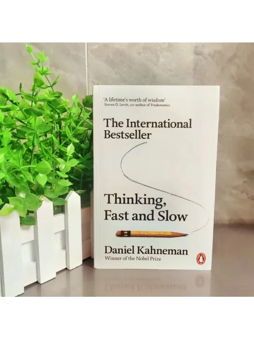 2026 Daniel Kahneman: Denken schnell und langsam – Englische Bücher zum Lesen für Erwachsene: Eine Lebenslange Weisheit – Wirtschaftsmanagement-Buch