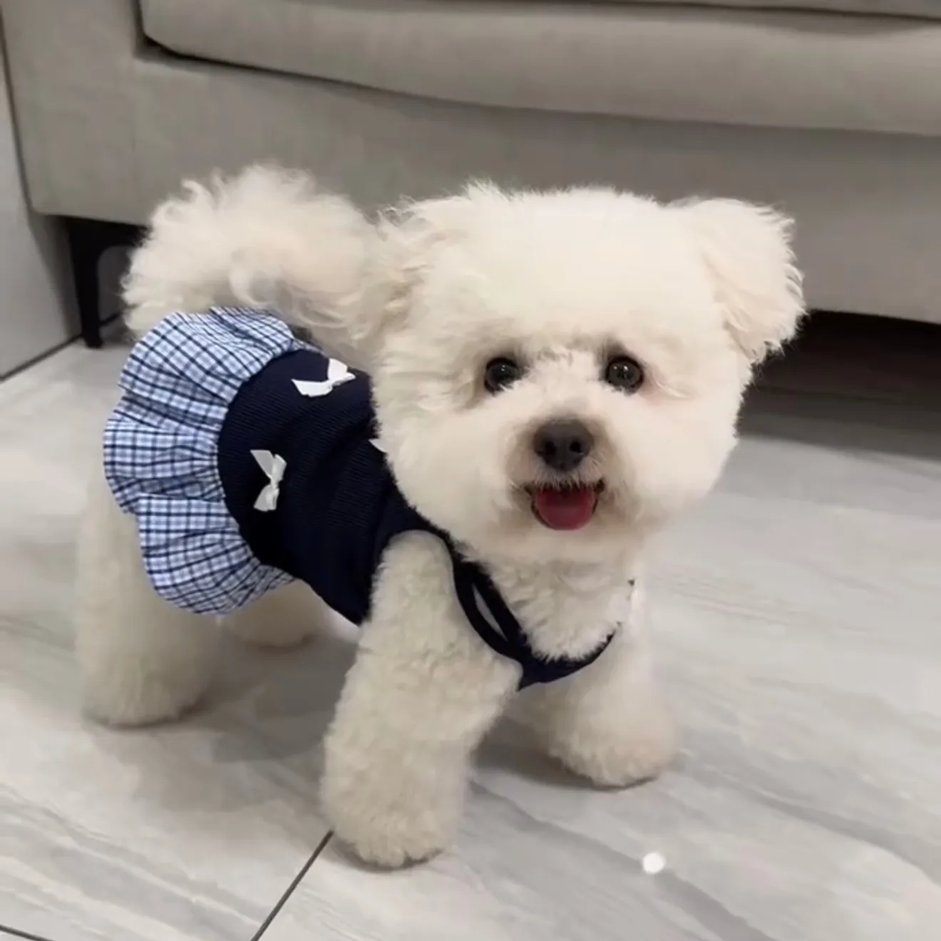 1-teiliges Sommer-Haustierkleid, atmungsaktives Hundekleid mit Fliege, geeignet für Hochzeiten, Verabredungen und Geburtstagsfeiern Image
