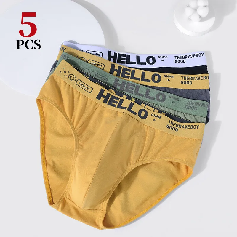 5 paires/sous-vêtements pour hommes pur coton hommes Triangle Shorts Sexy Boxer respirant hommes haute Stretch 3D sous-vêtements hommes Plus L-5XL