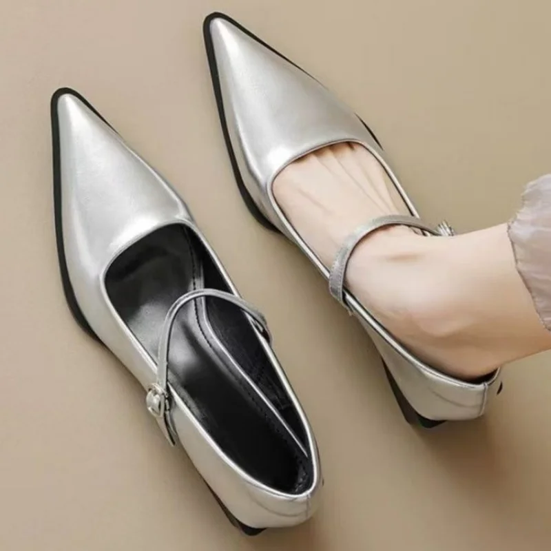 2026 Damen Silberne Spitze Mary Jane Schuhe Bequeme Schuhe mit niedrigem Blockabsatz, elegant und schlicht, für den Arbeitsweg geeignet