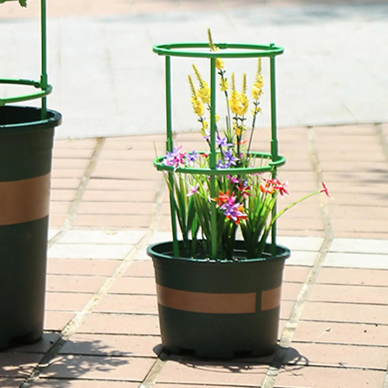 Verstellbarer Tomatenpflanzen-Stützring, Rostfreier Ringpfahl-Rahmen, Stabile Struktur Windbeständiges Design, Ideal für den Gartenbau Image