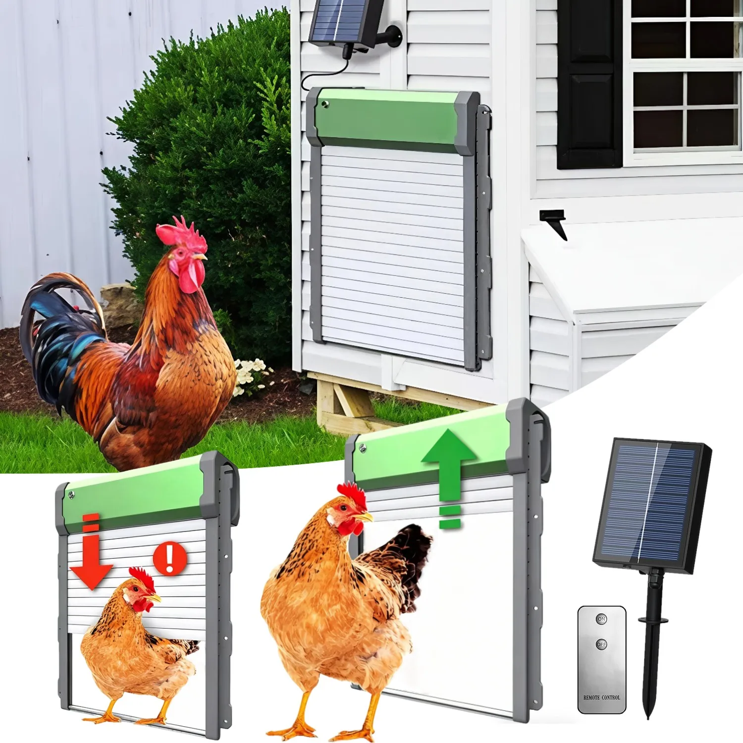 Automatische Hühnerstall-Tür Solarbetrieben mit Timer, Fernbedienung und Lichtsensor für Geflügelsicherheit Image