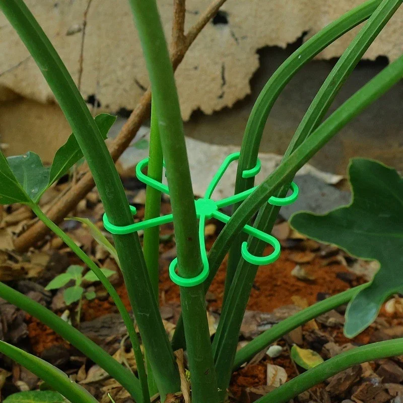 Pflanzenstützen für Zimmerpflanzen, Kletterpflanzen-Ständer, Kunststoff-Gartenspalier, Stangenfreie Halterungen für Blumenstiele Image