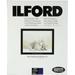 Ilford Multigrade Art 300, Variable Contrast, Black and White Matte Surfaced Fiber Based Photo Paper