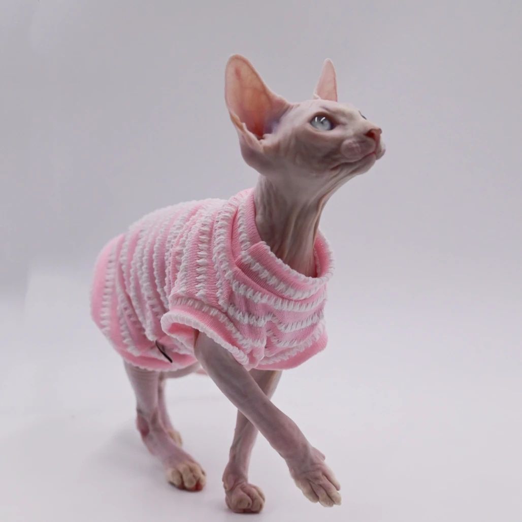 Summer Cooling Vest For Hairless Cats 8 l