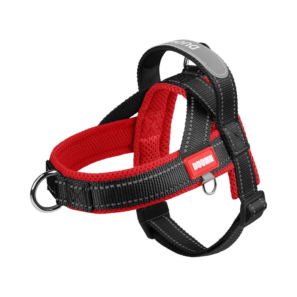 pro
