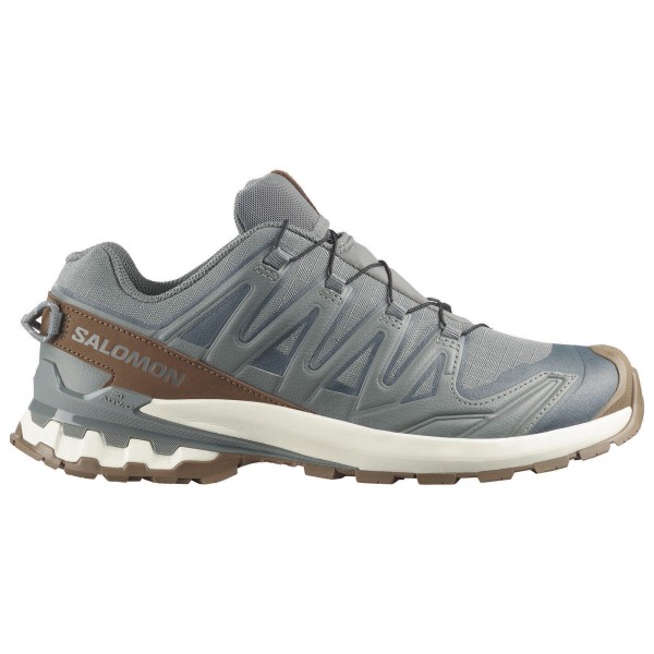 Salomon - XA Pro 3D V9 GORE-TEX Lifelong - Freizeitschuhe 42 | EU 42 grau