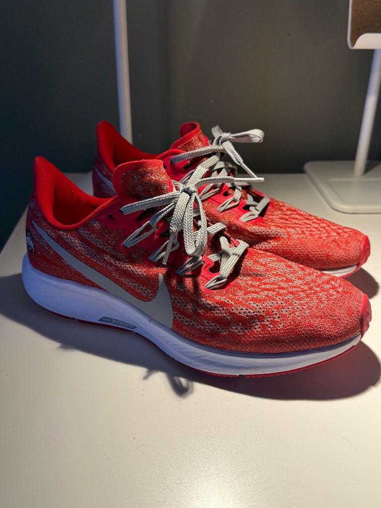 Nike Shoes | Women’s Nike Ohio State Nike Zoom | Color: Gray/Red | Size: 8