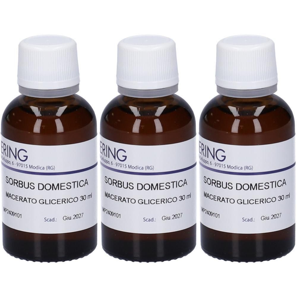HERING Sorbus Domestica Gemmeme Macerato Glicerico 3x30 ml
