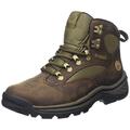 Timberland Women's Chocorua Trail Mid Gore-tex Ankle Boots, Brown Dark Brown Green, 5.5 UK