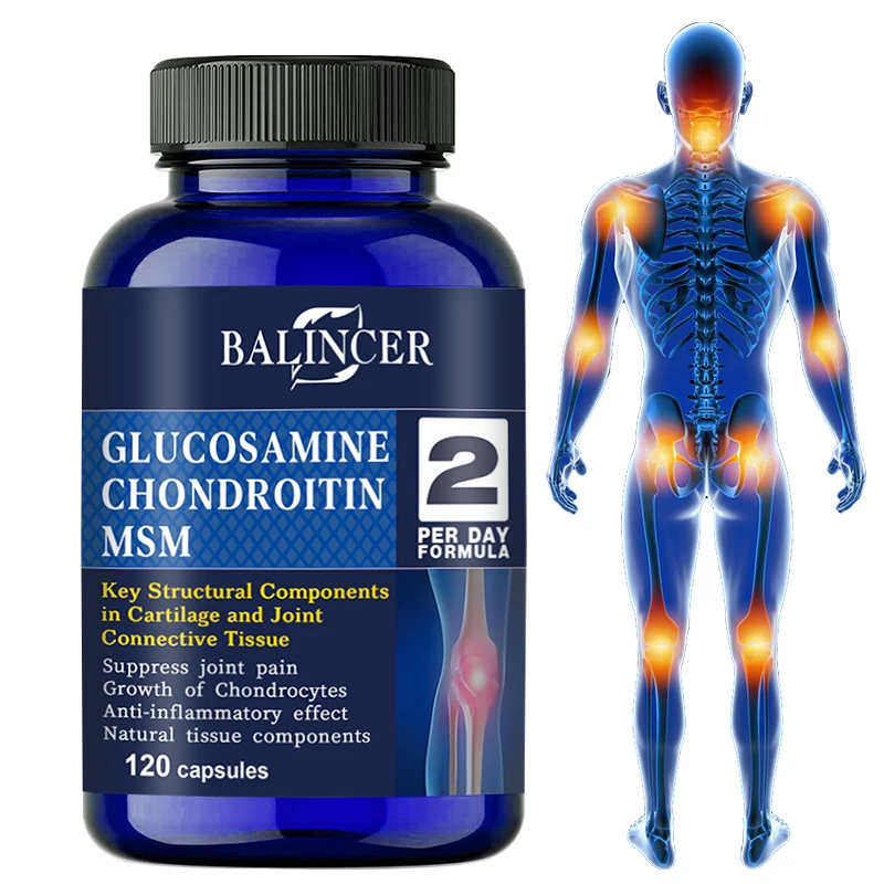 Glucosamine & Chondroitin & MSM 3-in-1 - Antioxidant, Joint Health Support, for Bone and Cartilage Health