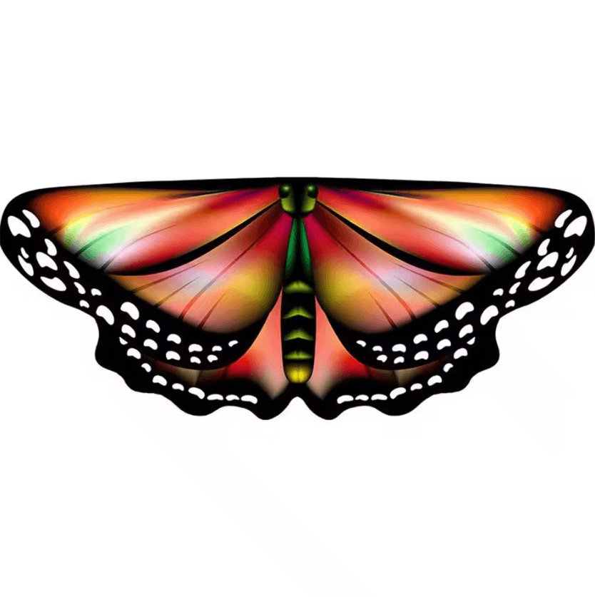 Kids Butterfly Wings Fairy Cape Butterfly Wings Costume Colorful Fairy Dress Up Cape For Girls 1