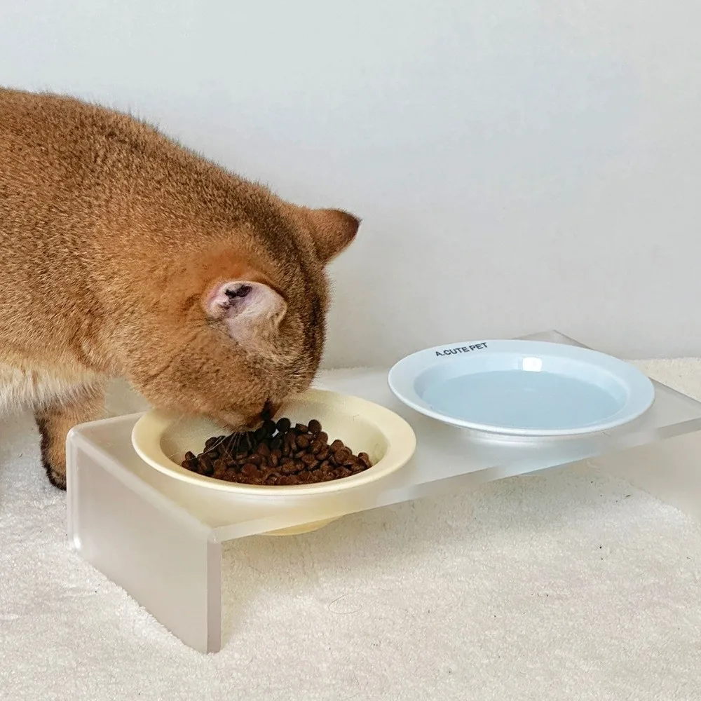 Keramik-Katzenfutternapf mit erhöhtem Acryl-Ständer, einfarbig, neigbar, verstellbar, große Doppel-Futterschalen für Haustiere