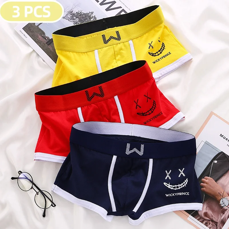 3 pièces hommes sous-vêtements homme caleçons coton Boxer Shorts hommes culottes Boxer sous-vêtements pour homme u-convexe Sexy confort boxeurs