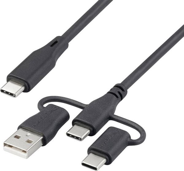 Renkforce USB-Ladekabel USB 2.0 USB-C® 0.50m Schwarz RF-6615906