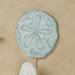 Sand Dollar Wall Hook Aqua , Aqua