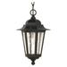 Nuvo Lighting 60993 - 1 Light 13" Textured Black Clear Seeded Glass Shade Hanging Lantern Light Fixture (60-993)