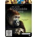 Die Große Enzyklopädie Der Tiere (DVD)