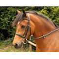 Windsor Equestrian Horses Bridle Brown Full