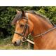 Windsor Equestrian Horses Bridle Brown Full