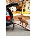 Free Standing Pet Ramp in Chocolate, 56" L X 16" W X 23" H, 56 IN, Brown