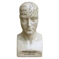 TANGDIAABBCC Honbeanify Large Distressed Glazed Ceramic Phrenology Head