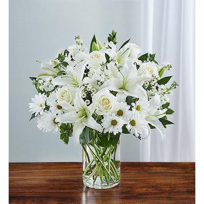 1-800-Flowers Everyday Gift Delivery Sincerest Sorrow All White Small | Happiness Delivered To Their Door