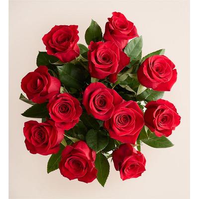 1-800-Flowers Flower Delivery One Dozen Red Roses Bouquet Only | Happiness Delivered To Their Door