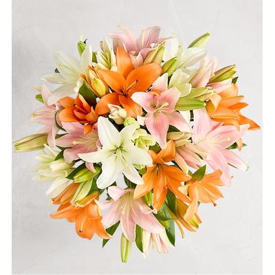 1-800-Flowers Seasonal Gift Delivery Vibrant Summer Lily Double Bouquet Only