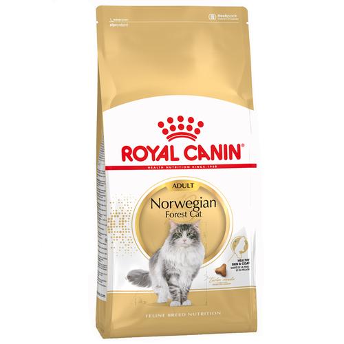 2x10kg Norwegische Waldkatze Royal Canin Katzenfutter trocken