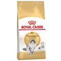 10kg Norvégien Royal Canin Croquettes pour chat de race Norwegian Forest Cat
