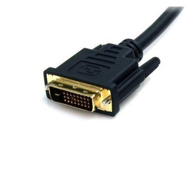 StarTech DisplayPort Male to DVI Male Cable (6', Black) DP2DVI2MM6