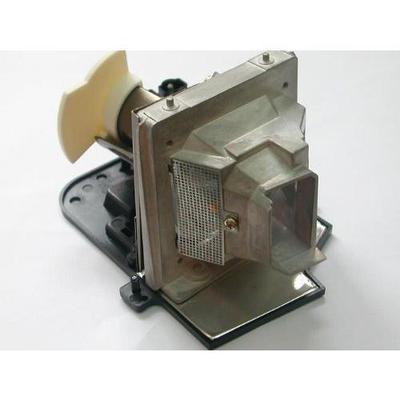 BenQ Projector Replacement Lamp for the W700 Projector 5J.J3905.001