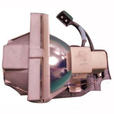 BenQ Projector Lamp 9E.0C101.011