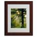 Trademark Fine Art "Magical Tree" by Kathie McCurdy Framed Photographic Print Canvas in Green | 20 H x 16 W x 0.5 D in | Wayfair KM0272-W1620MF
