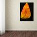 Trademark Fine Art 'Perfect Red & Yellow Tulip' by Kurt Shaffer Framed Photographic Print on Wrapped Canvas in Black/Orange | Wayfair KS488-C2232GG