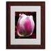 Trademark Fine Art "Perfect Pink & White Tulip" by Kurt Shaffer Matted Framed Photographic Print Canvas in Pink/Red | 14 H x 11 W x 0.5 D in | Wayfair