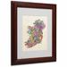 Trademark Fine Art "Ireland II" by Michael Thompsett Framed Graphic Art Canvas, Wood | 14 H x 11 W x 0.5 D in | Wayfair MT0302-W1114MF