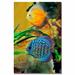 Trademark Fine Art 'Two Tropical Fish' by Kurt Shaffer Photographic Print on Wrapped Canvas in White | 47 H x 30 W x 2 D in | Wayfair KS464-C3047GG