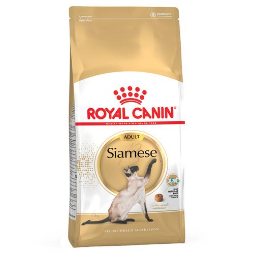 2x10kg Siamese Adult Royal Canin Economy Dry Cat Food