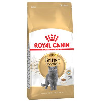 4kg British Shorthair Adult Royal Canin Breed Katzenfutter trocken