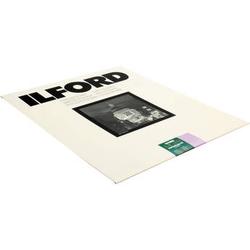 Ilford Multigrade FB Classic Paper (Glossy, 20 x 24", 10 Sheets) 1172126