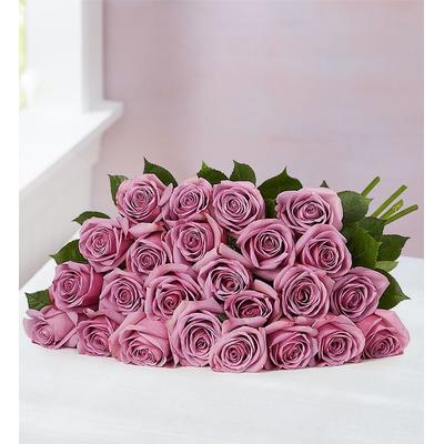 1-800-Flowers Flower Delivery Mother's Day Passion For Purple Roses 24 Stems, Bouquet Only | Happiness Delivered To Their Door