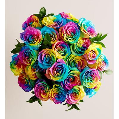 1-800-Flowers Flower Delivery Rainbow Roses 24 Stems Bouquet Only | Happiness Delivered To Their Door